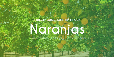 Плантация цитрусовых «Naranjas»