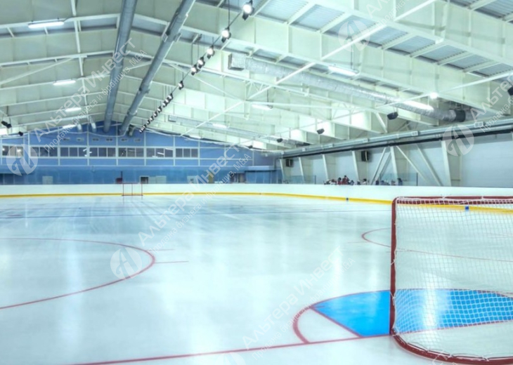 Всесезонная хоккейная площадка со стабильной выручкой  Фото - 1